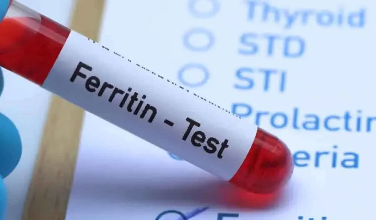 Ferritin Nedir ?