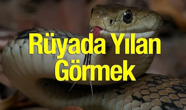 Ruyada Yılan Görmek Ne Anlama Gelir?